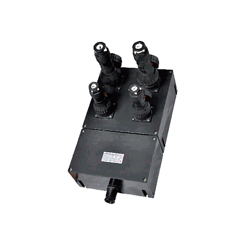 BXS8030 系列防爆防腐电源插座箱(ⅡC、DIP)